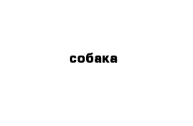 собака